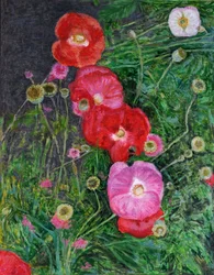 Mohnblumen, 2009